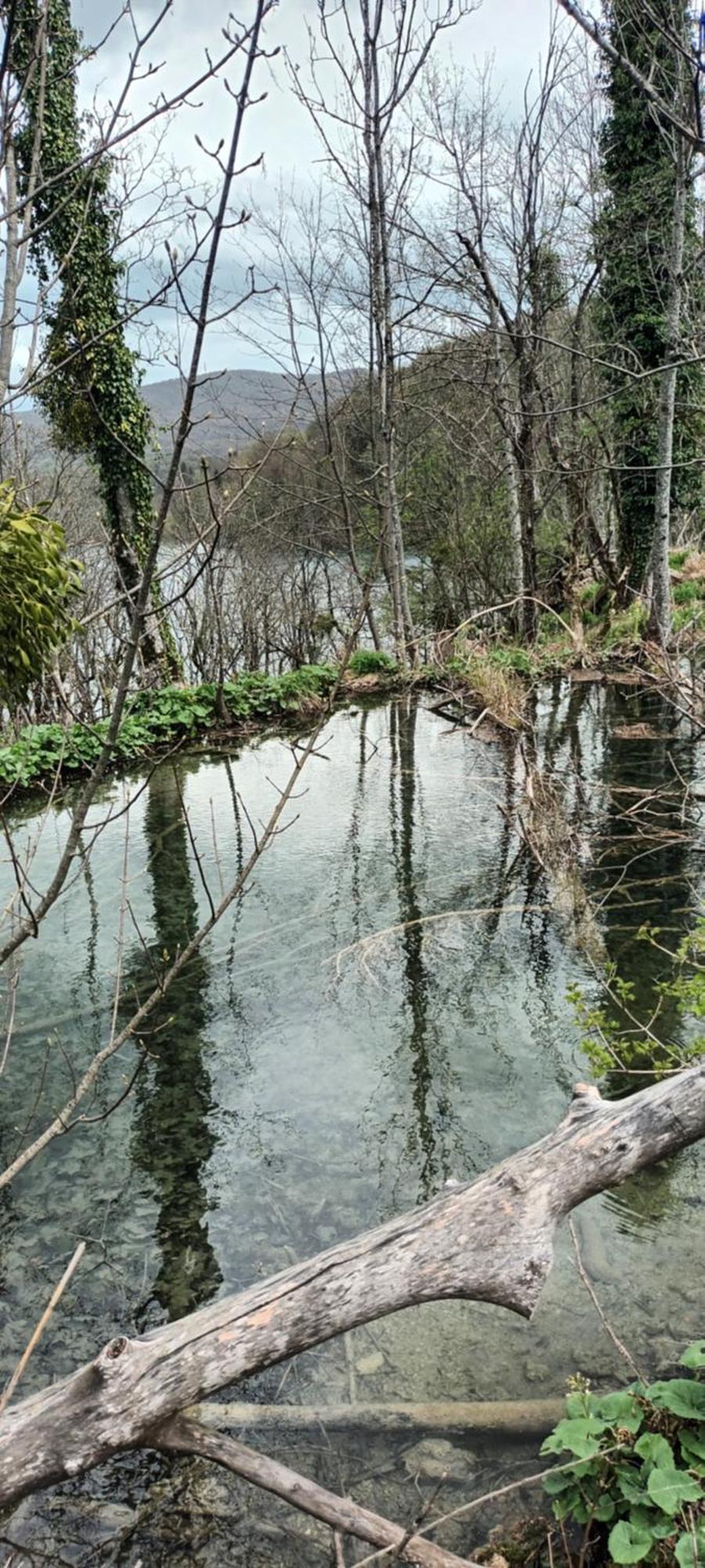 Tisa Self Check In Διαμέρισμα Plitvička Jezera Εξωτερικό φωτογραφία